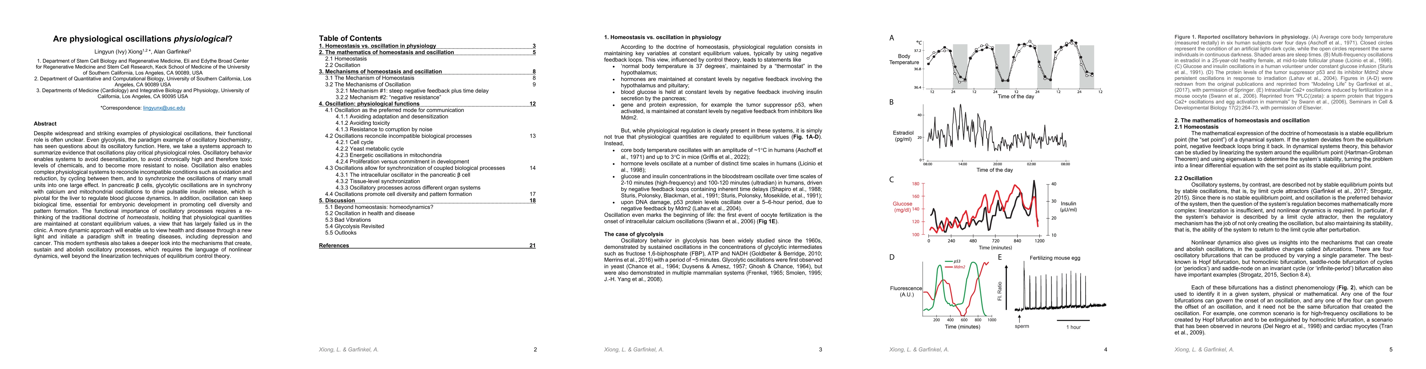 Thumbnail for Are physiological oscillations 'physiological'?