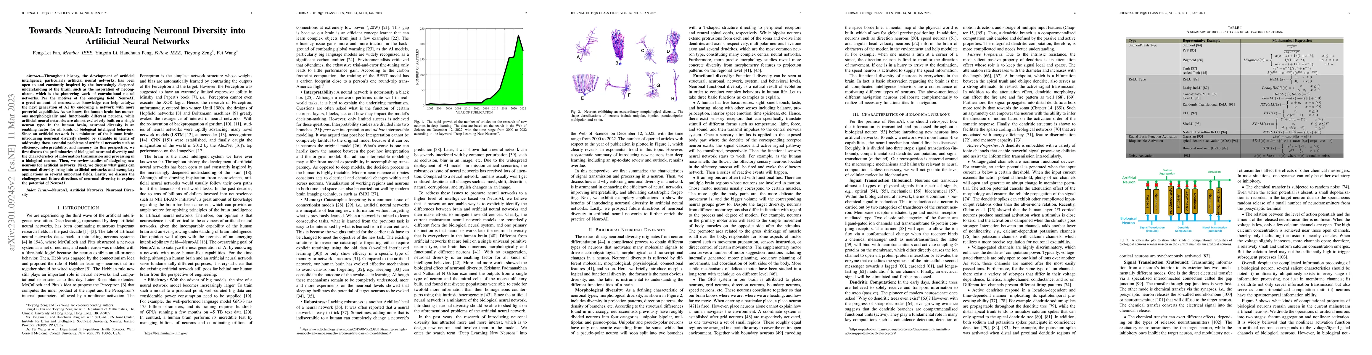 Thumbnail for Towards NeuroAI: Introducing Neuronal Diversity into Artificial Neural
  Networks