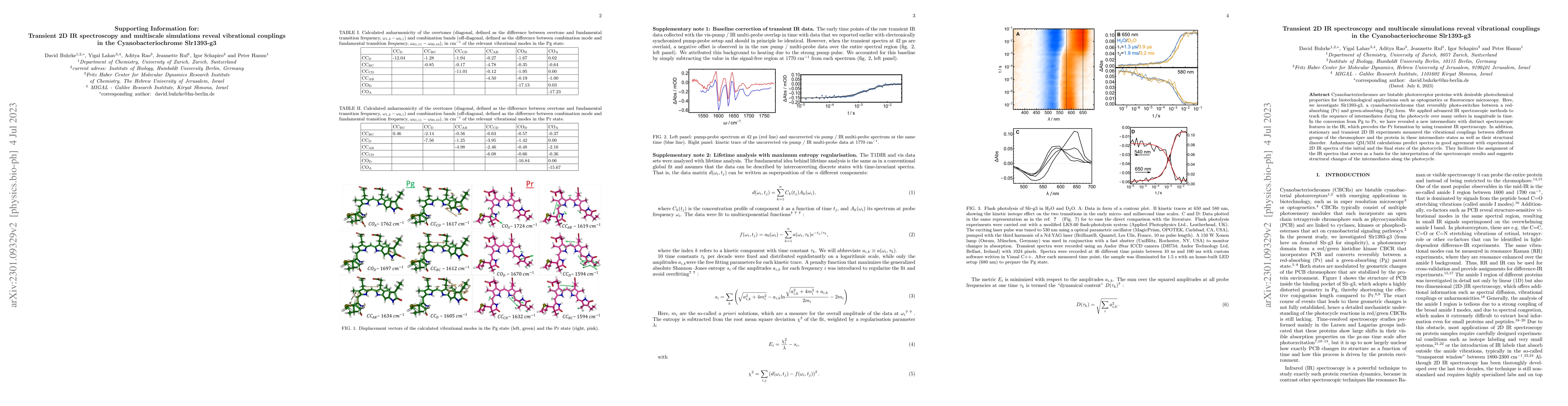Thumbnail for Transient 2D IR spectroscopy and multiscale simulations reveal
  vibrational couplings in the Cyanobacteriochrome Slr1393-g3