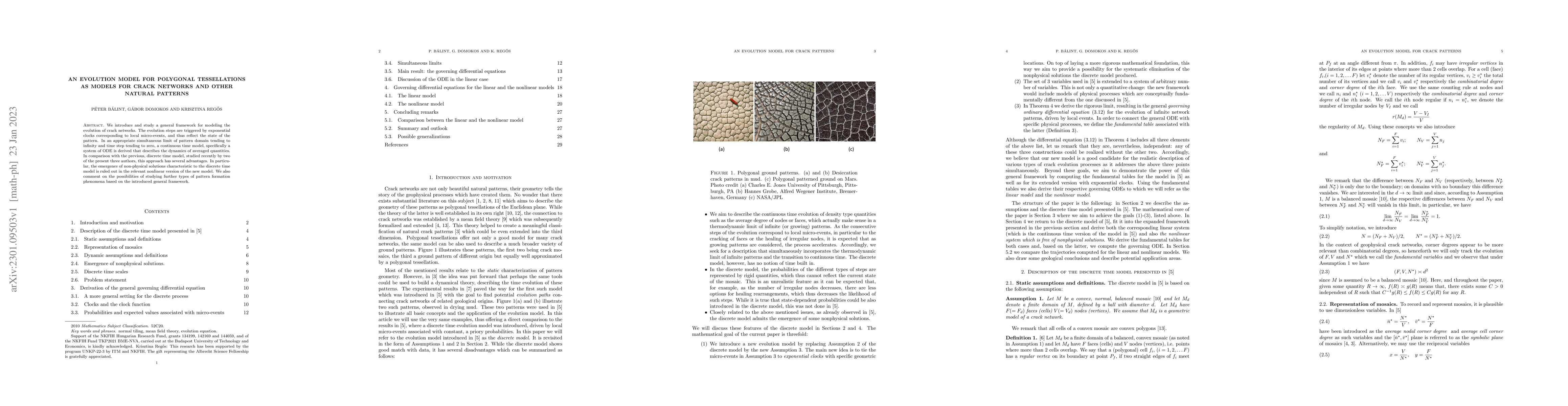 Thumbnail for An evolution model for polygonal tessellations as models for crack
  networks and other natural patterns