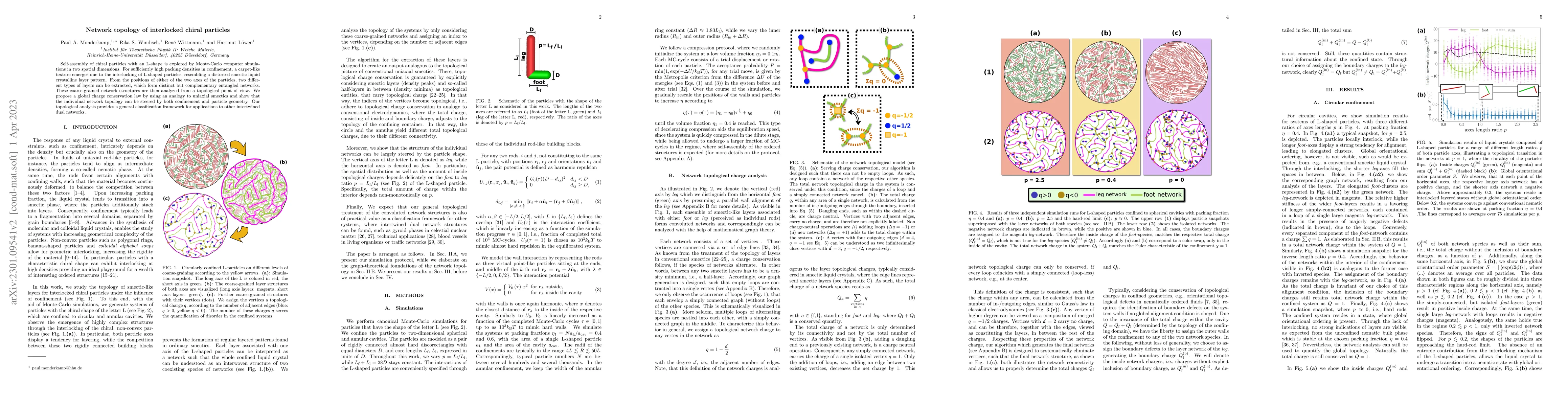 Thumbnail for Network topology of interlocked chiral particles