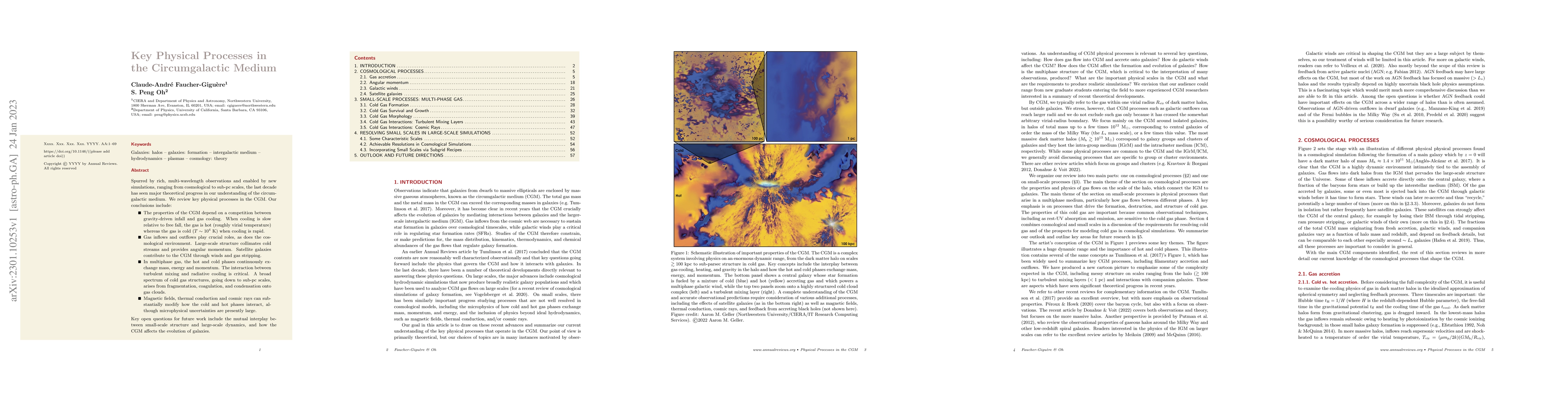 Thumbnail for Key Physical Processes in the Circumgalactic Medium