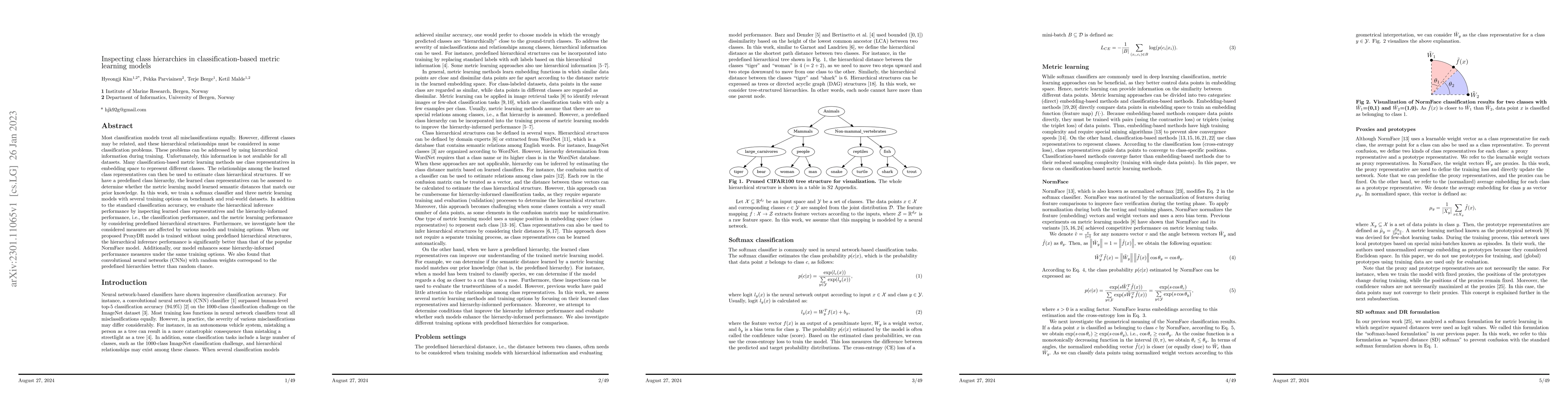 Thumbnail for Inspecting class hierarchies in classification-based metric learning
  models