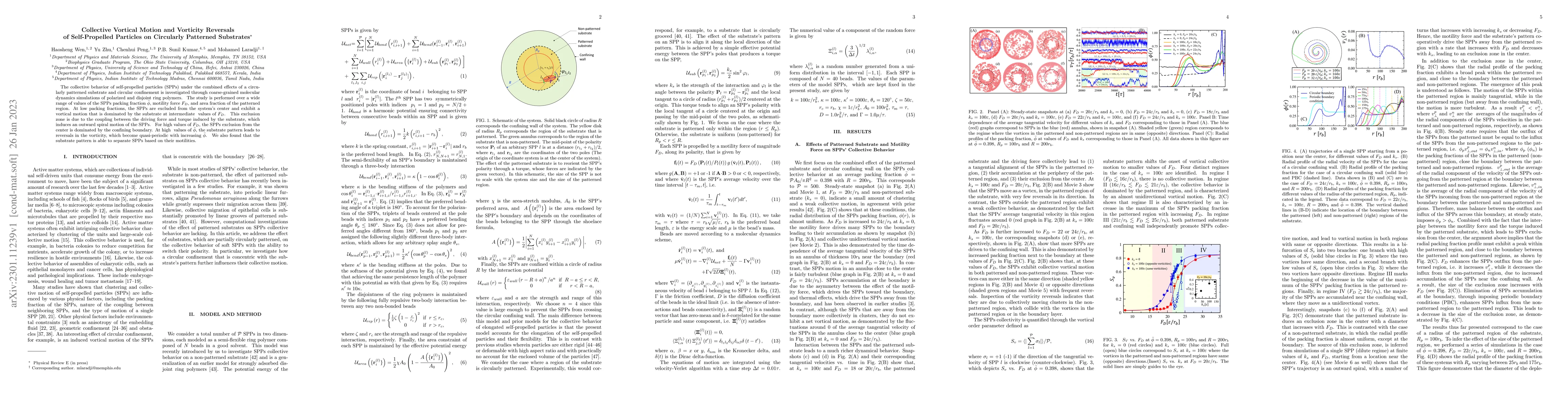 Thumbnail for Collective Vortical Motion and Vorticity Reversals of Self-Propelled
  Particles on Circularly Patterned Substrates