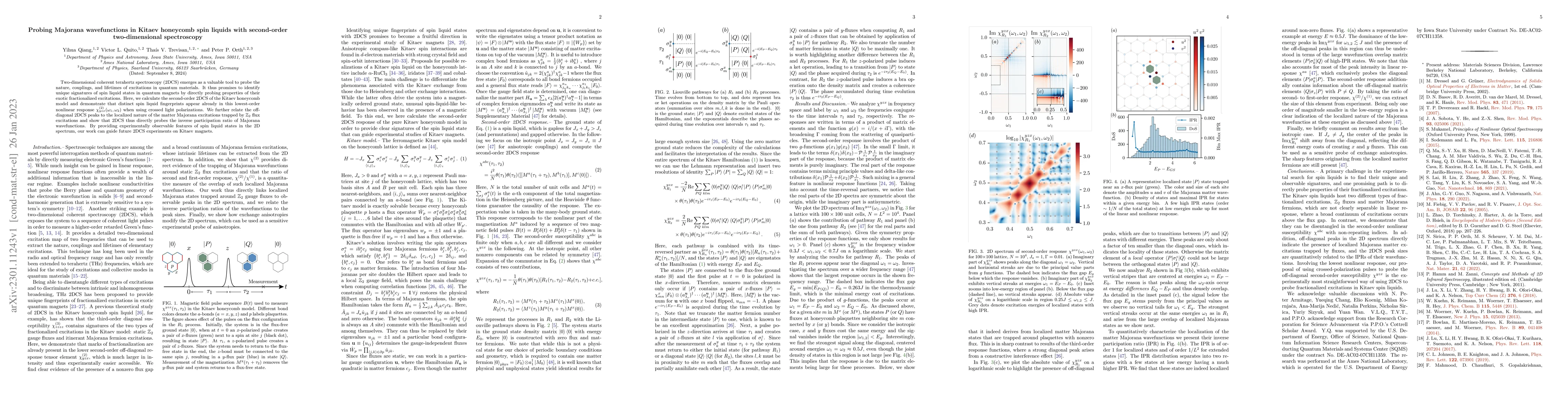 Thumbnail for Probing Majorana wavefunctions in Kitaev honeycomb spin liquids with
  second-order two-dimensional spectroscopy