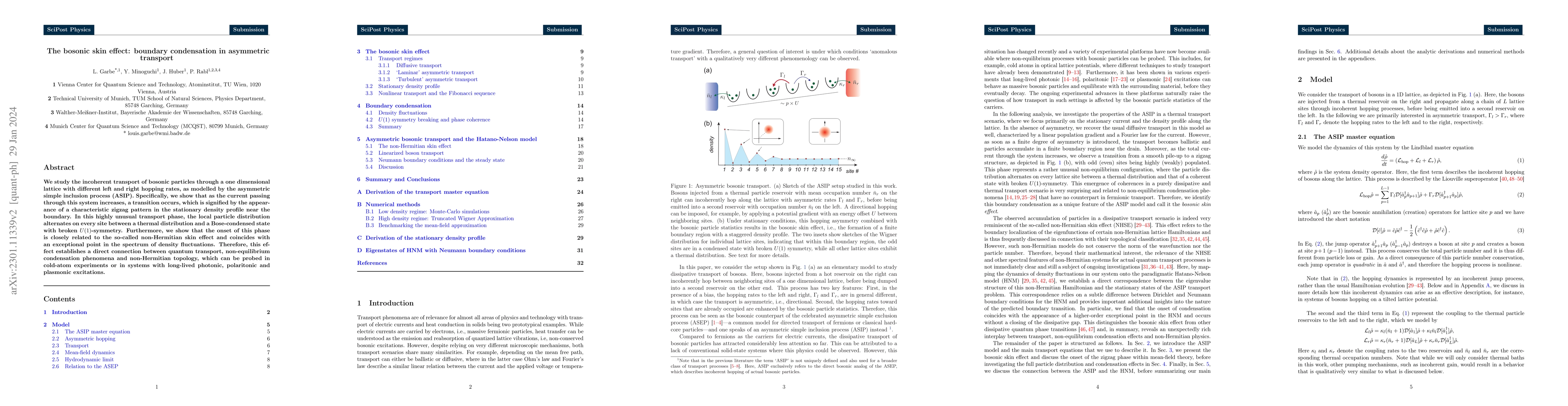 Thumbnail for The bosonic skin effect: boundary condensation in asymmetric transport