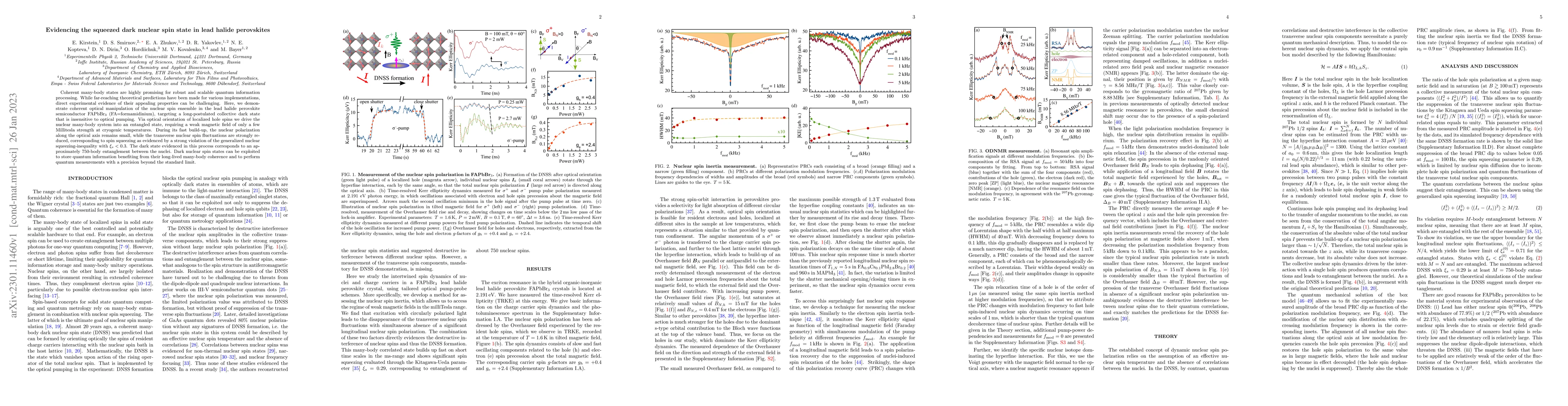 Thumbnail for Evidencing the squeezed dark nuclear spin state in lead halide
  perovskites