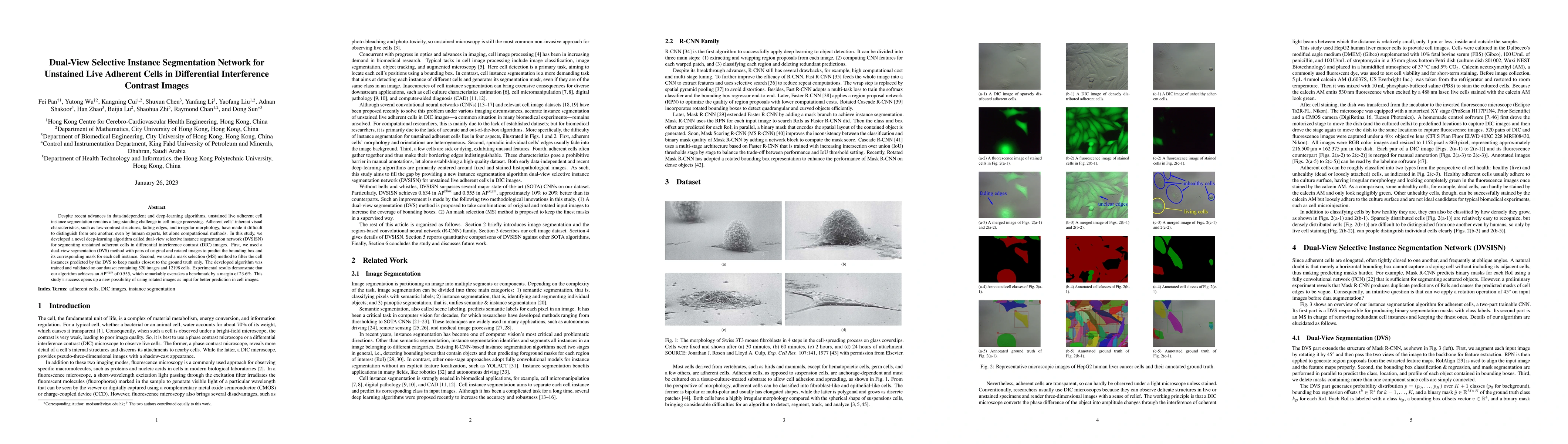 Thumbnail for Dual-View Selective Instance Segmentation Network for Unstained Live
  Adherent Cells in Differential Interference Contrast Images