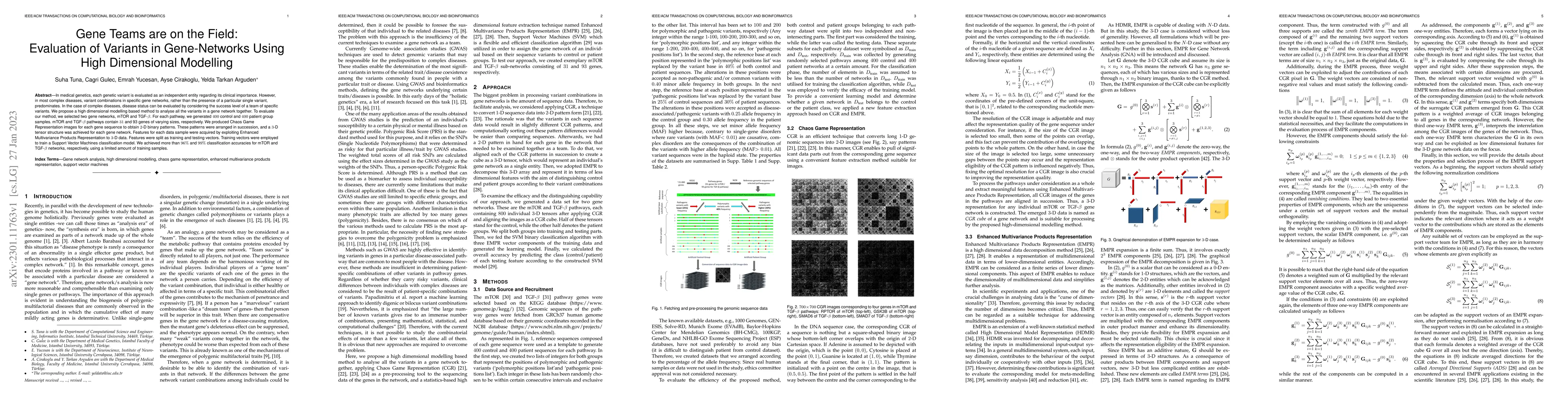 Thumbnail for Gene Teams are on the Field: Evaluation of Variants in Gene-Networks
  Using High Dimensional Modelling