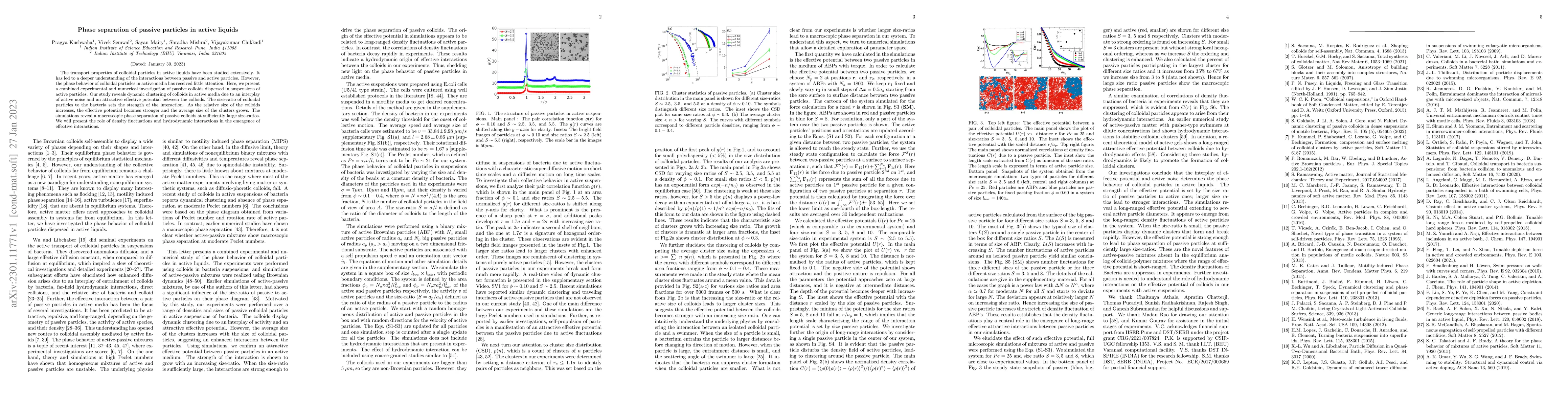 Thumbnail for Phase separation of passive particles in active liquids