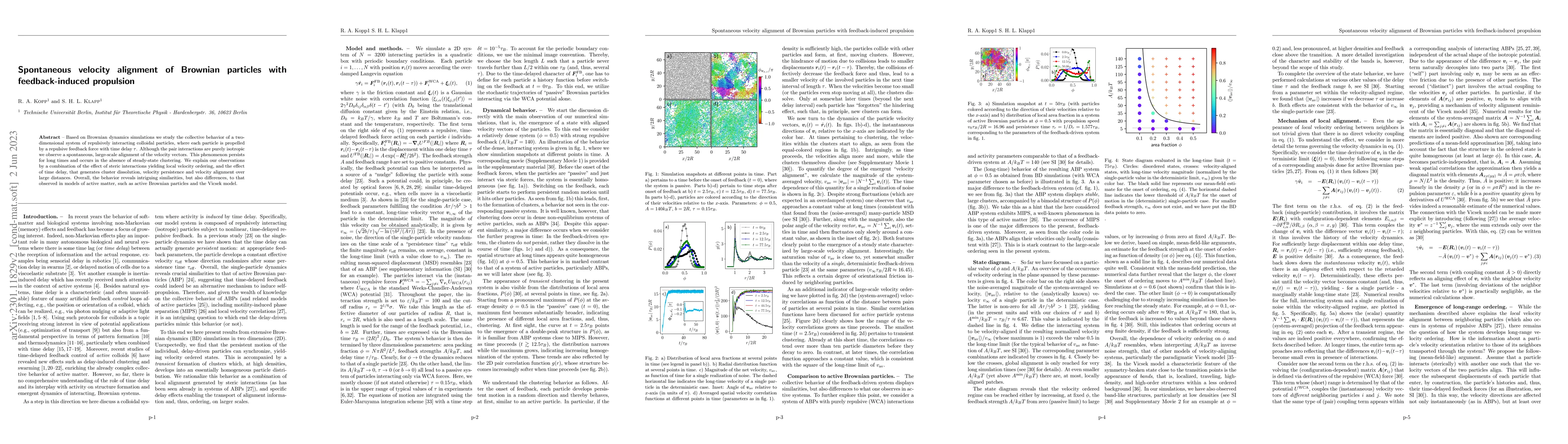 Thumbnail for Spontaneous velocity alignment of Brownian particles with
  feedback-induced propulsion