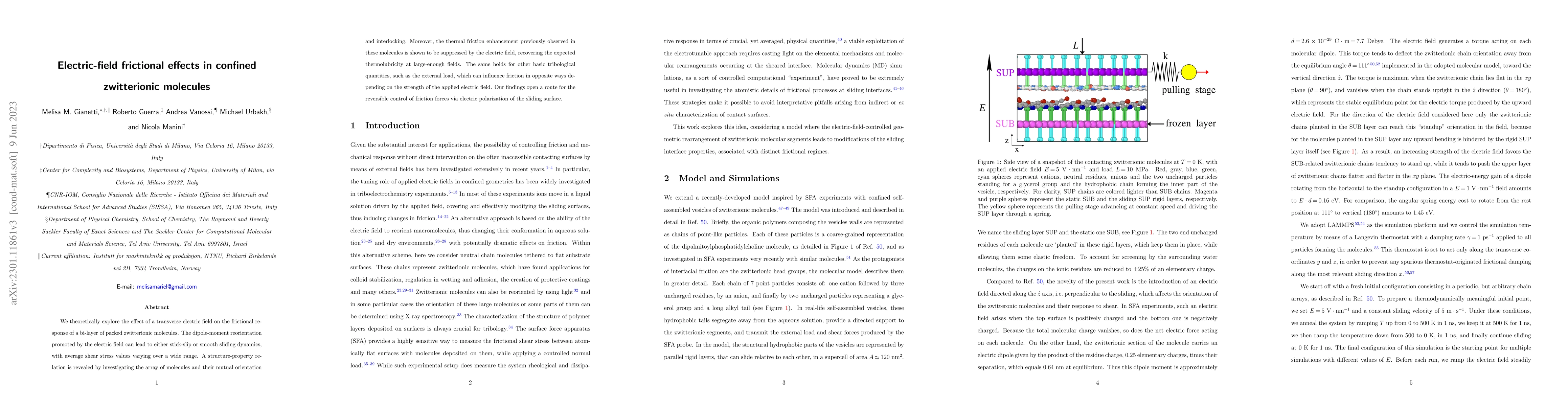 Thumbnail for Electric-field frictional effects in confined zwitterionic molecules