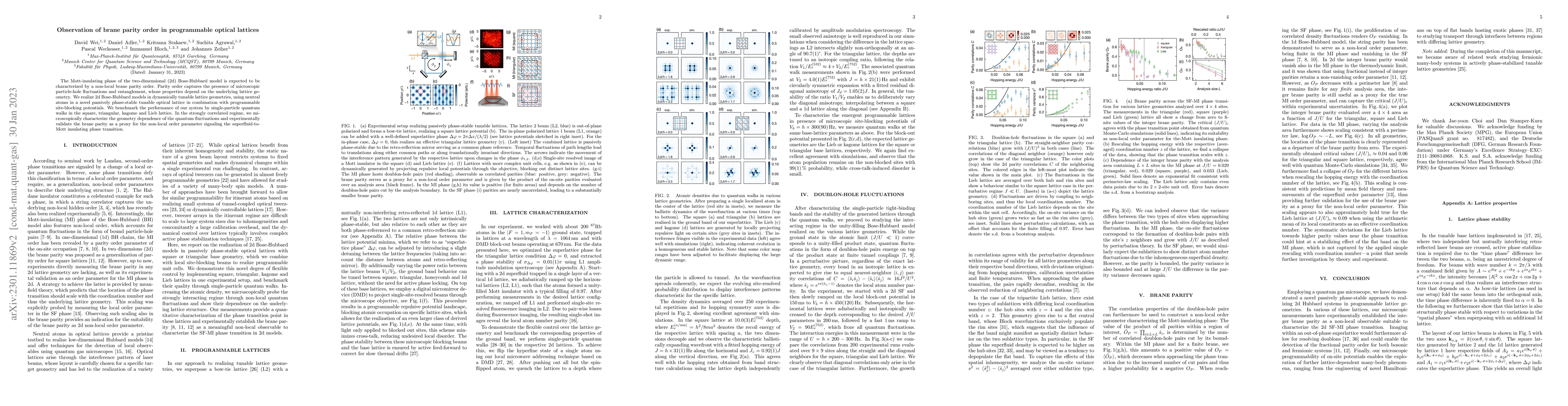 Thumbnail for Observation of brane parity order in programmable optical lattices