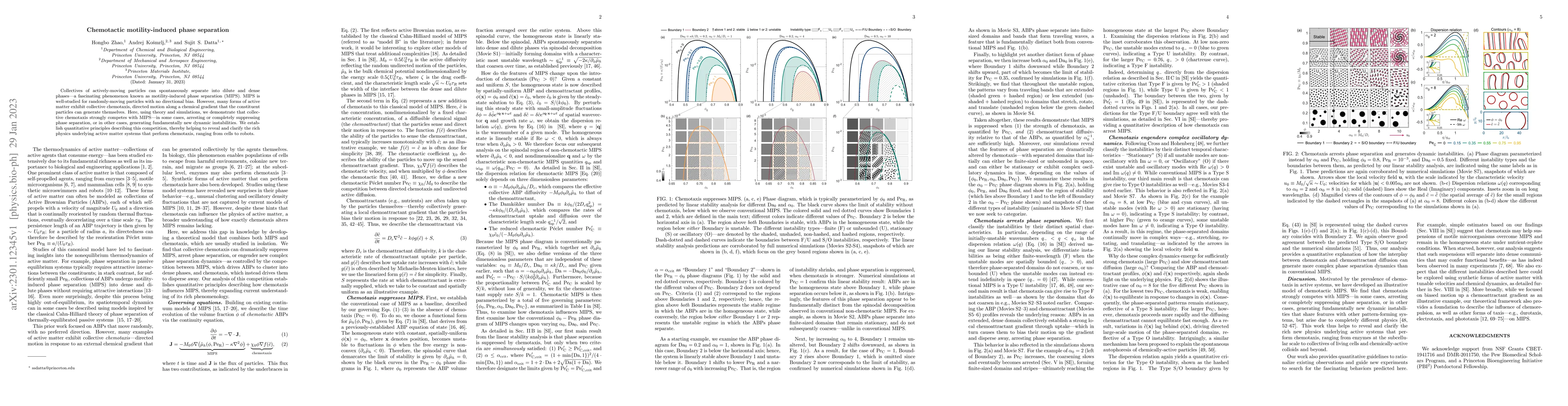 Thumbnail for Chemotactic motility-induced phase separation