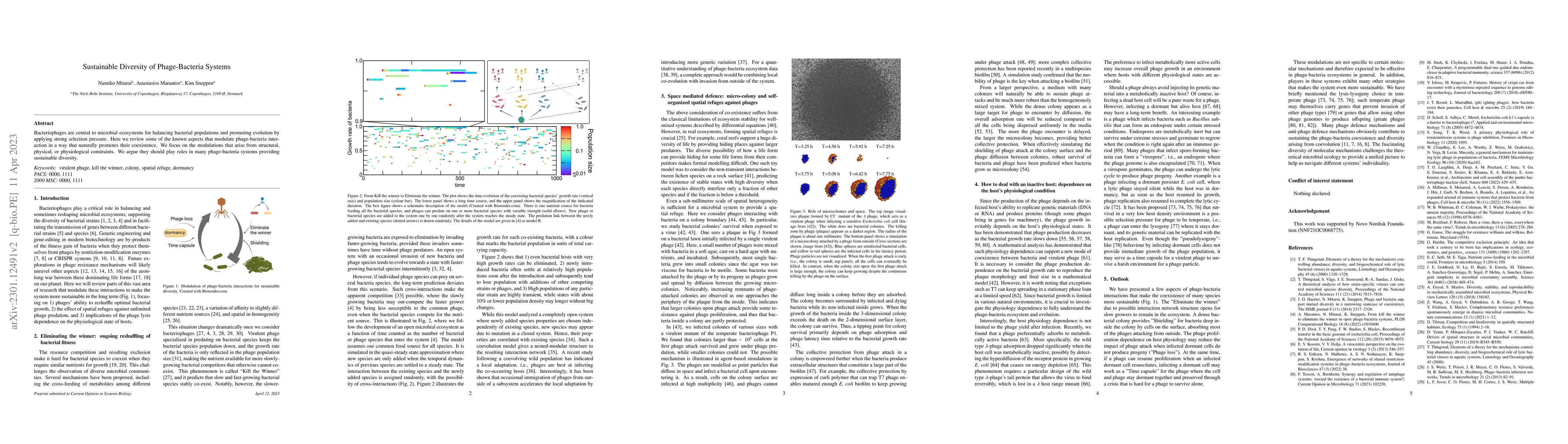 Thumbnail for Sustainable Diversity of Phage-Bacteria Systems