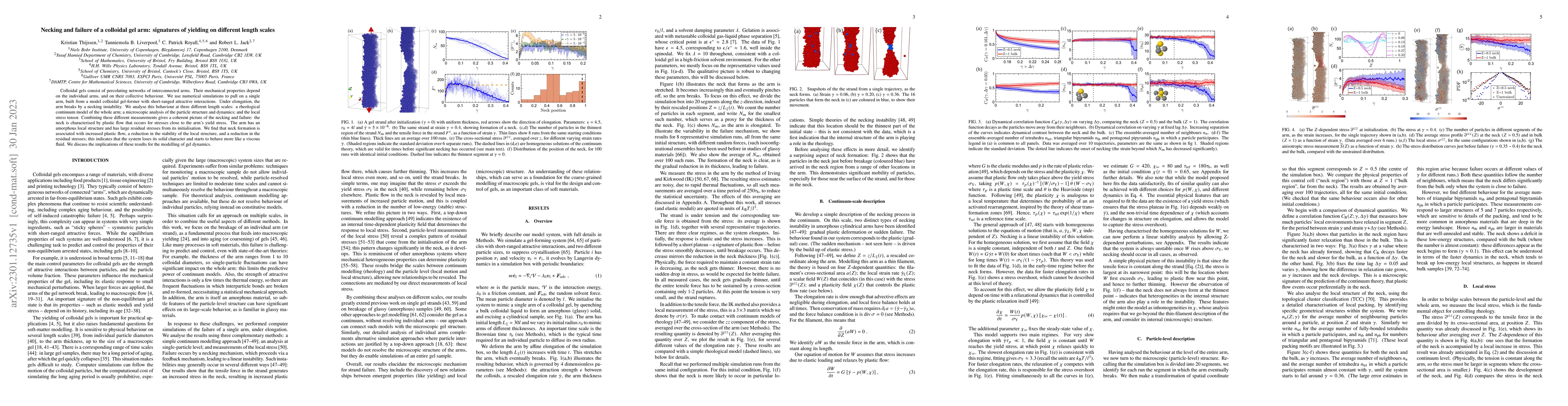 Thumbnail for Necking and failure of a colloidal gel arm: signatures of yielding on
  different length scales
