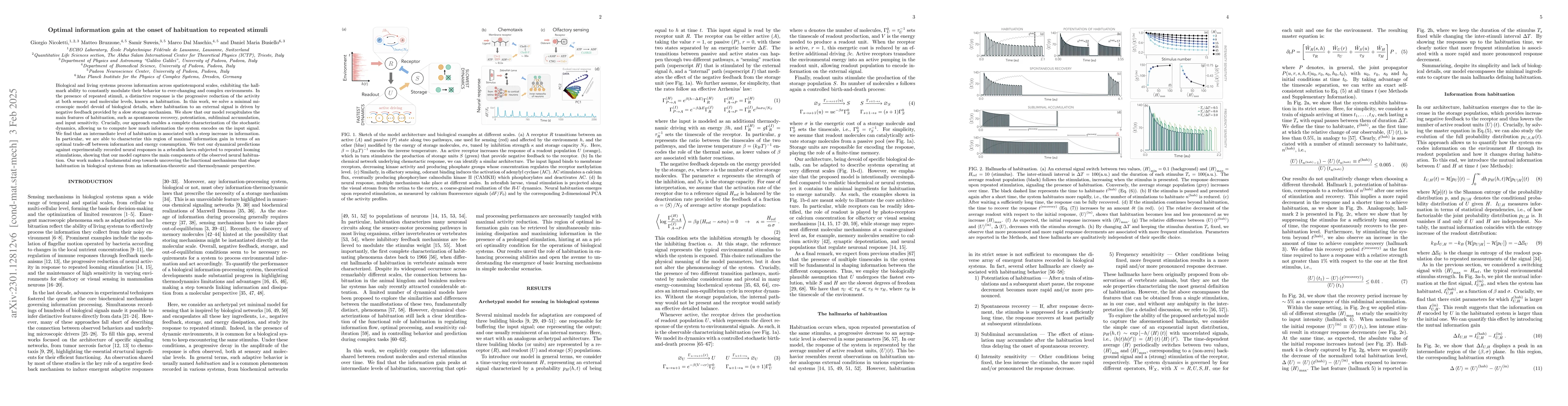 Thumbnail for Information gain at the onset of habituation to repeated stimuli