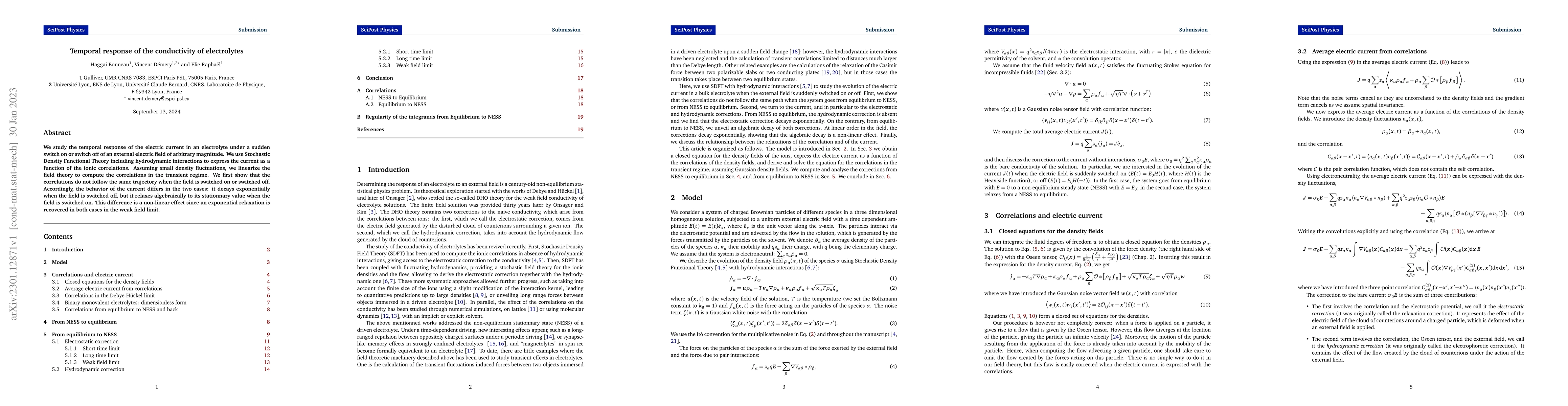 Thumbnail for Temporal response of the conductivity of electrolytes