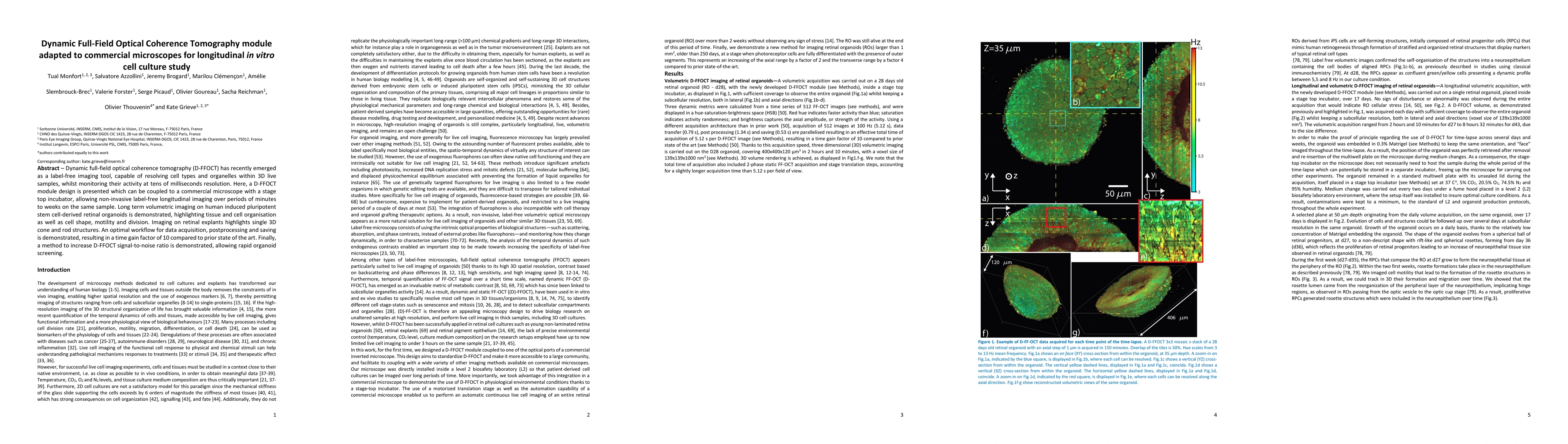 Thumbnail for Dynamic Full-Field Optical Coherence Tomography module adapted to
  commercial microscopes for longitudinal in vitro cell culture study