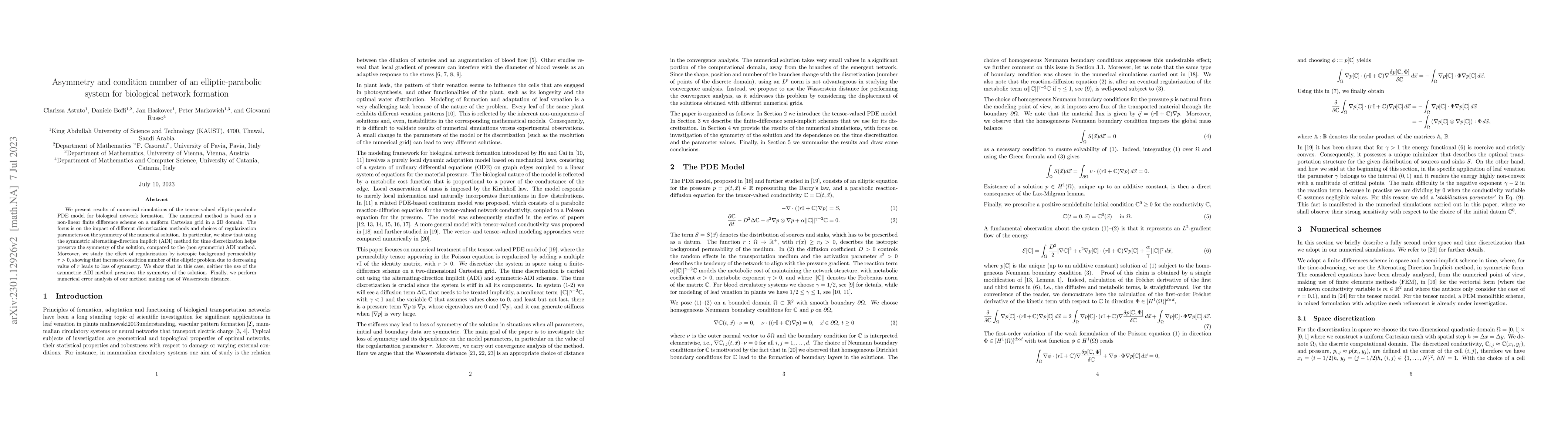 Thumbnail for Asymmetry and condition number of an elliptic-parabolic system for
  biological network formation