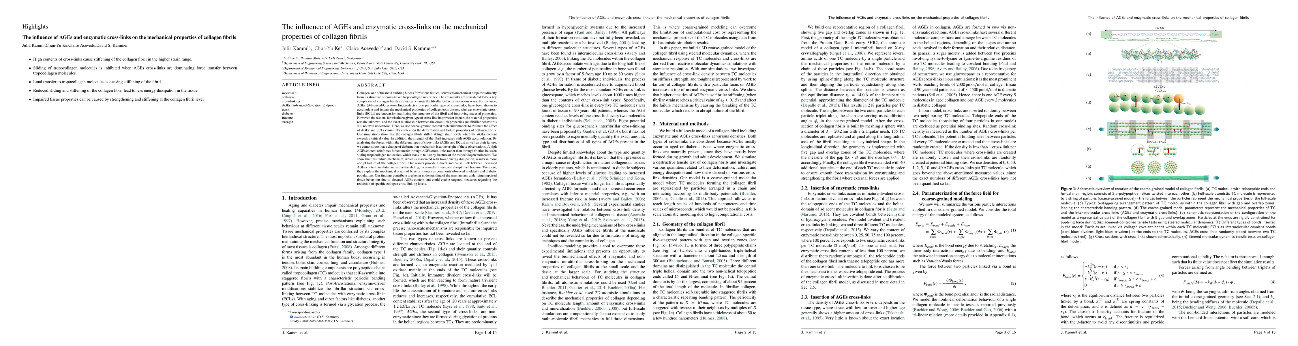 Thumbnail for The influence of AGEs and enzymatic cross-links on the mechanical
  properties of collagen fibrils