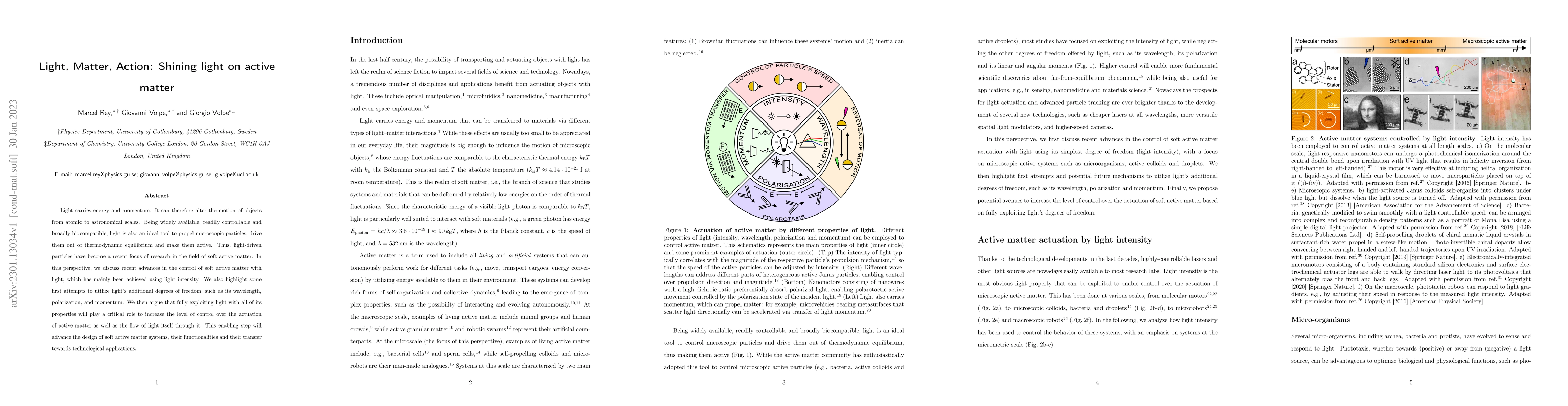 Thumbnail for Light, Matter, Action: Shining light on active matter