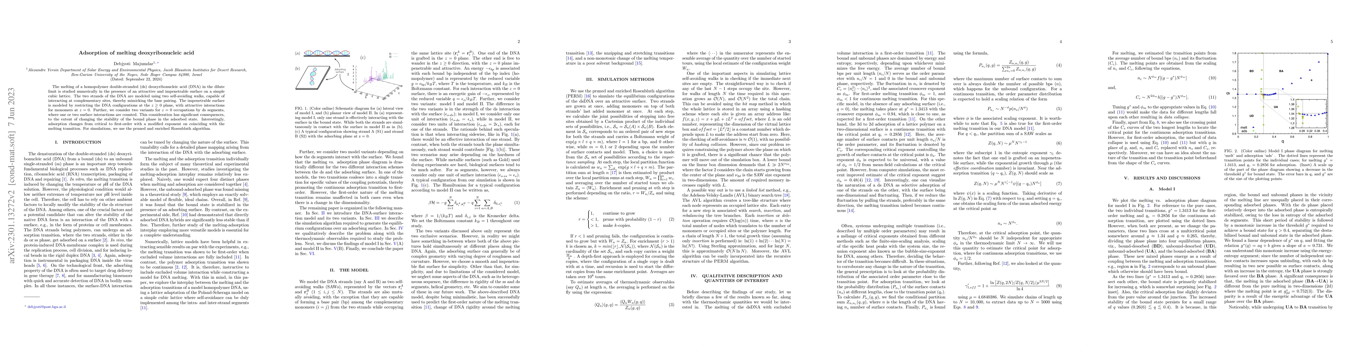 Thumbnail for Adsorption of melting deoxyribonucleic acid