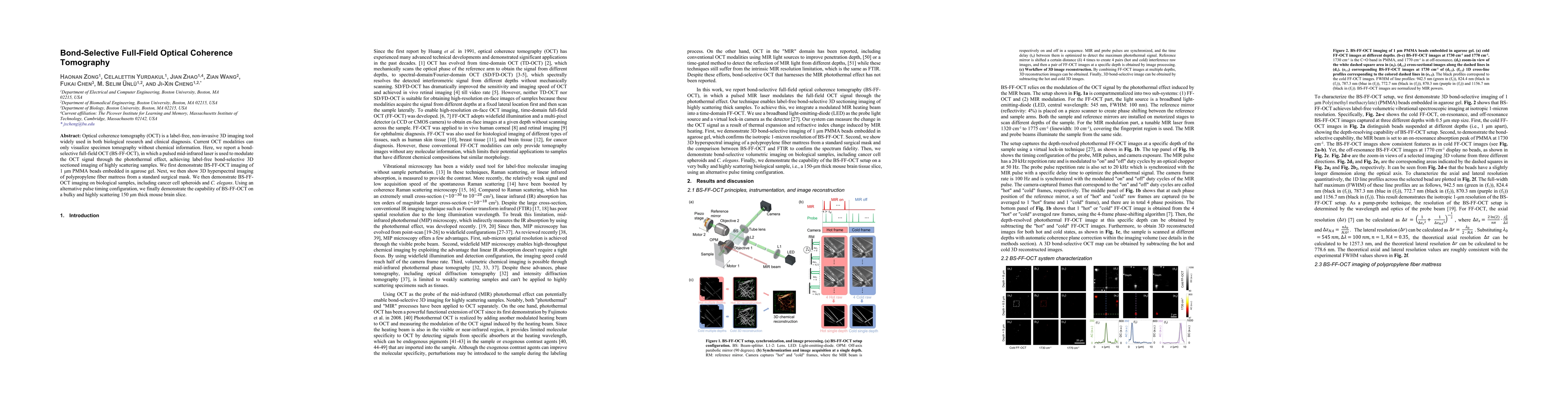 Thumbnail for Bond-Selective Full-Field Optical Coherence Tomography