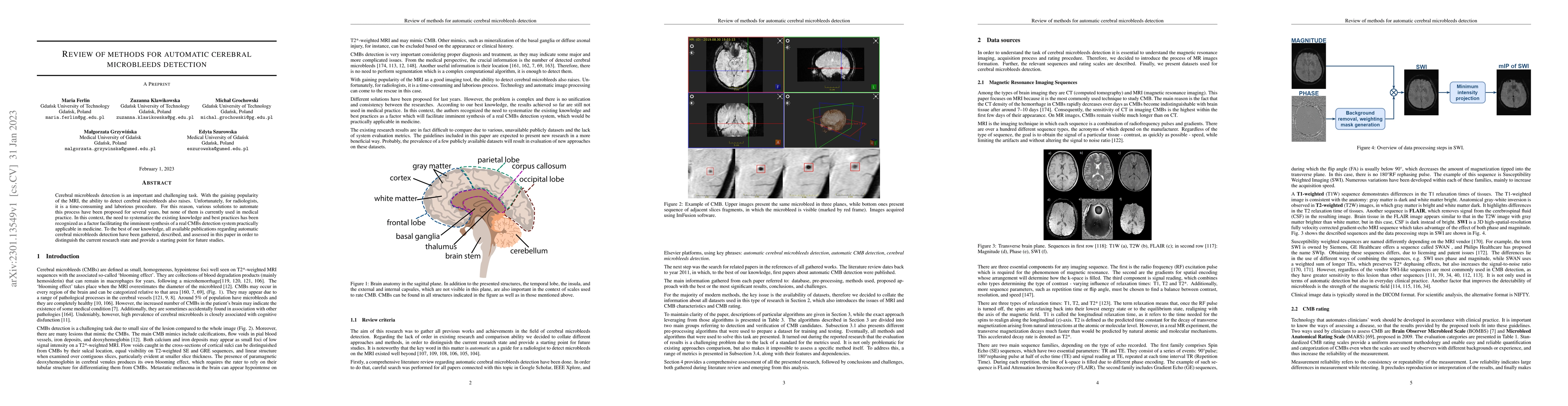 Thumbnail for Review of methods for automatic cerebral microbleeds detection
