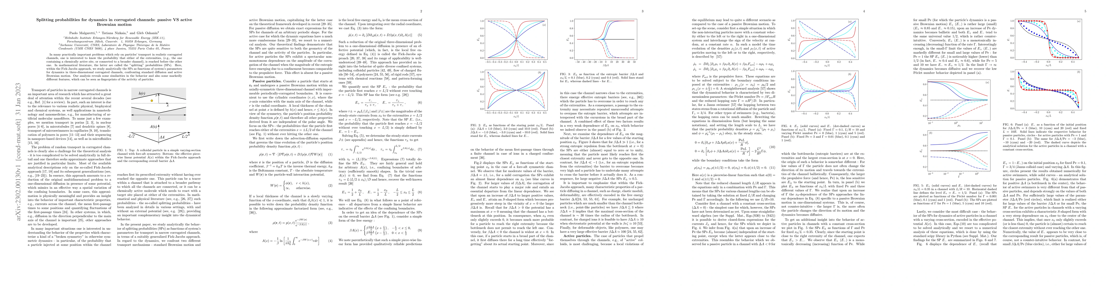 Thumbnail for Splitting probabilities for dynamics in corrugated channels: passive VS
  active Brownian motion