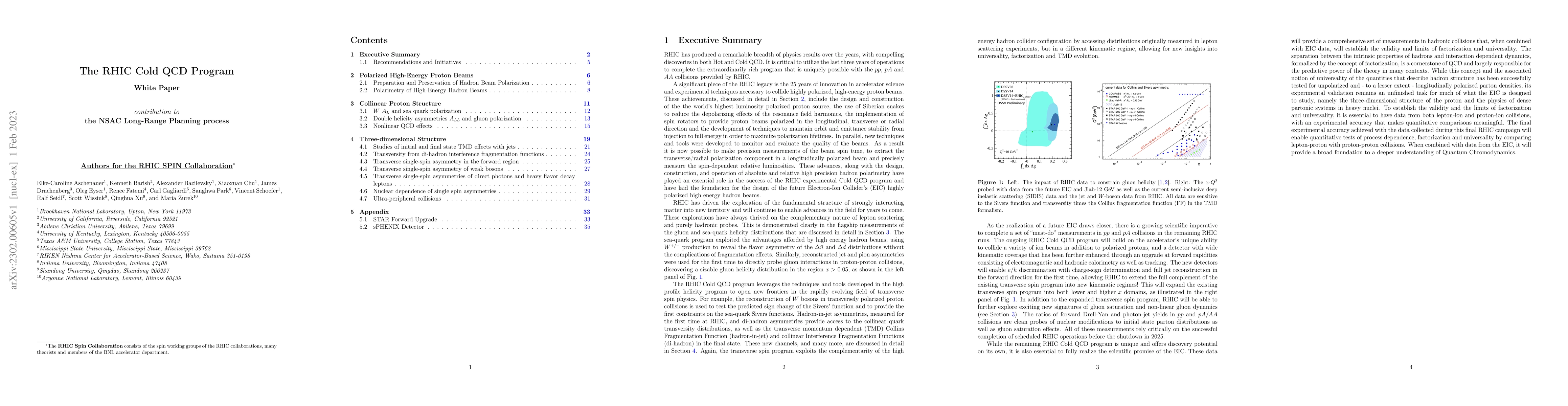 Thumbnail for The RHIC Cold QCD Program