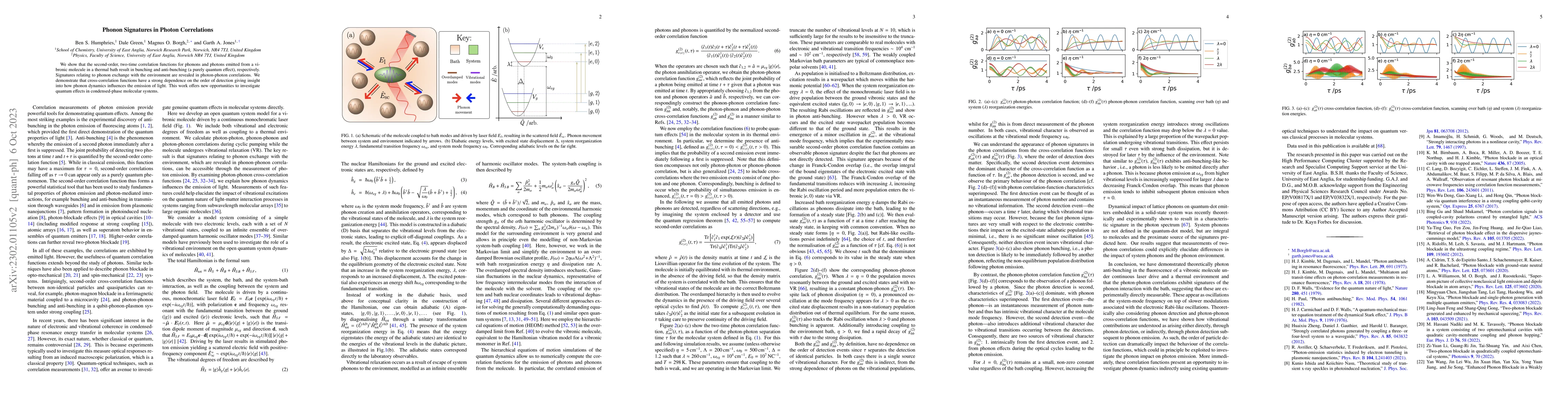 Thumbnail for Phonon Signatures in Photon Correlations
