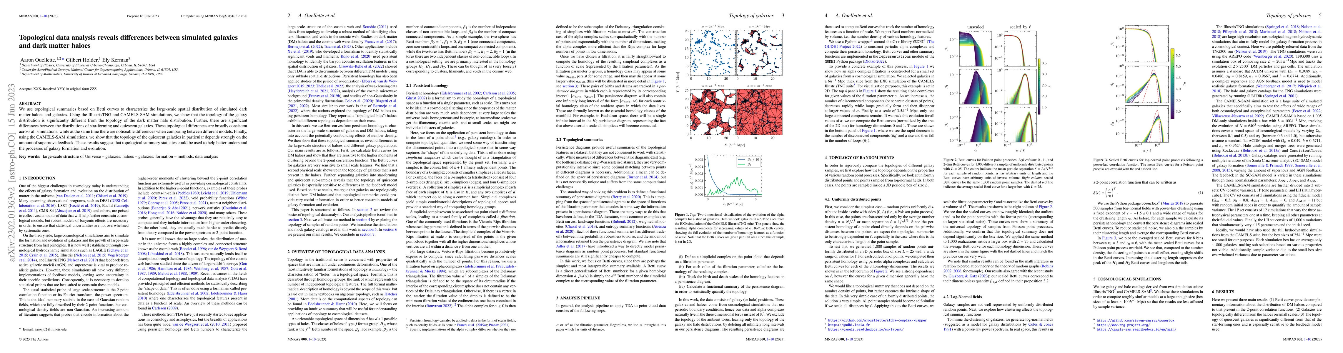 Thumbnail for Topological data analysis reveals differences between simulated galaxies
  and dark matter haloes