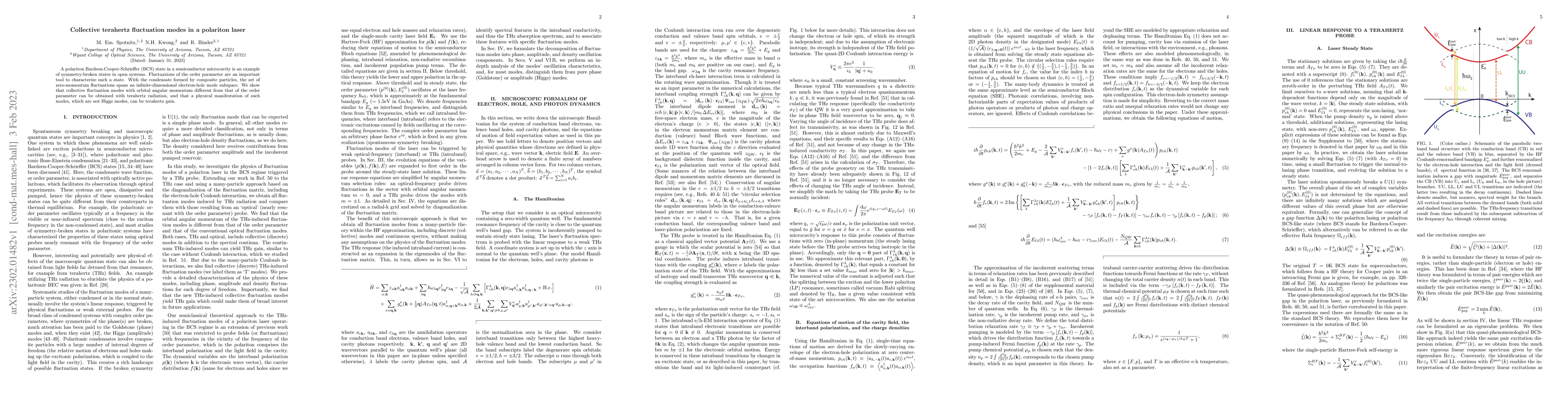 Thumbnail for Collective terahertz fluctuation modes in a polariton laser