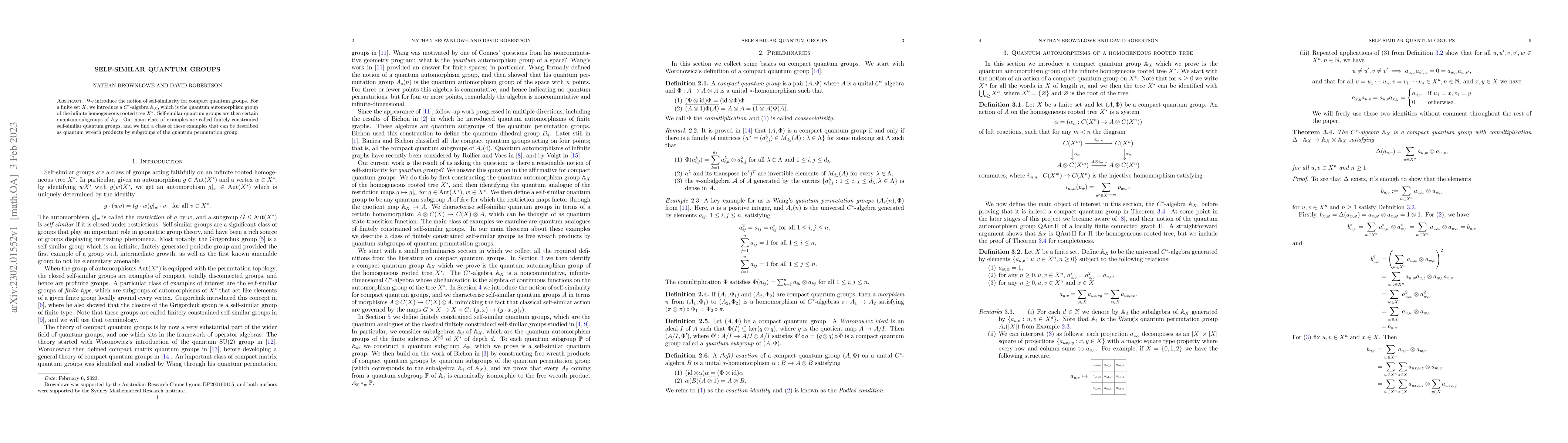 Thumbnail for Self-similar quantum groups