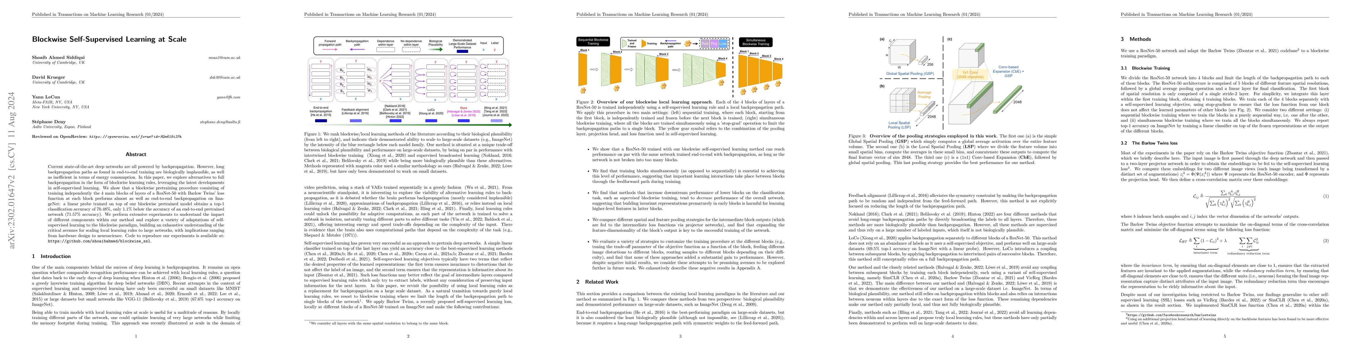 Thumbnail for Blockwise Self-Supervised Learning at Scale