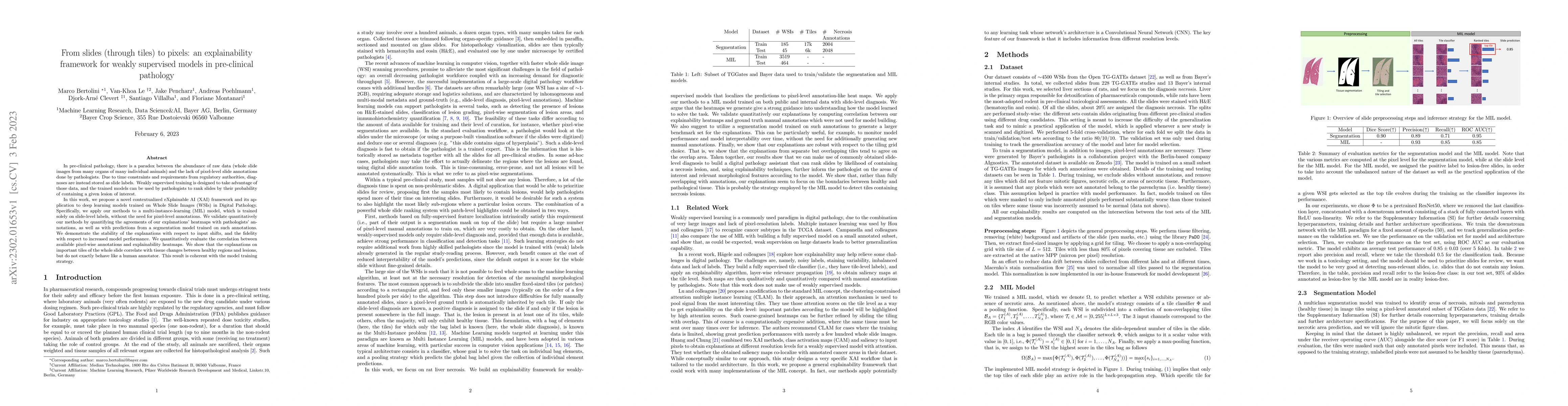 Thumbnail for From slides (through tiles) to pixels: an explainability framework for
  weakly supervised models in pre-clinical pathology