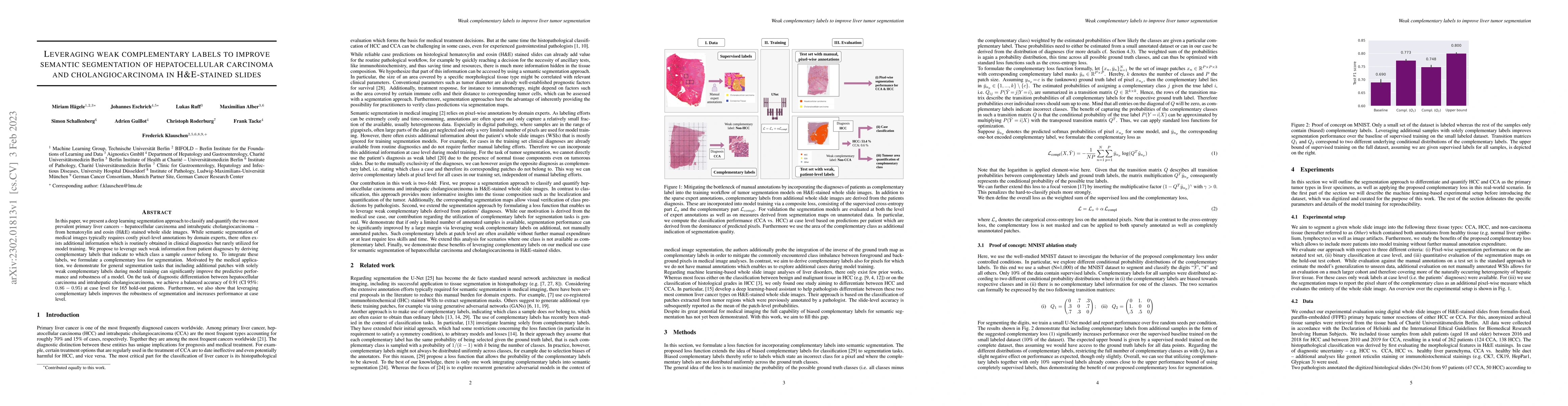 Thumbnail for Leveraging weak complementary labels to improve semantic segmentation of
  hepatocellular carcinoma and cholangiocarcinoma in H&E-stained slides