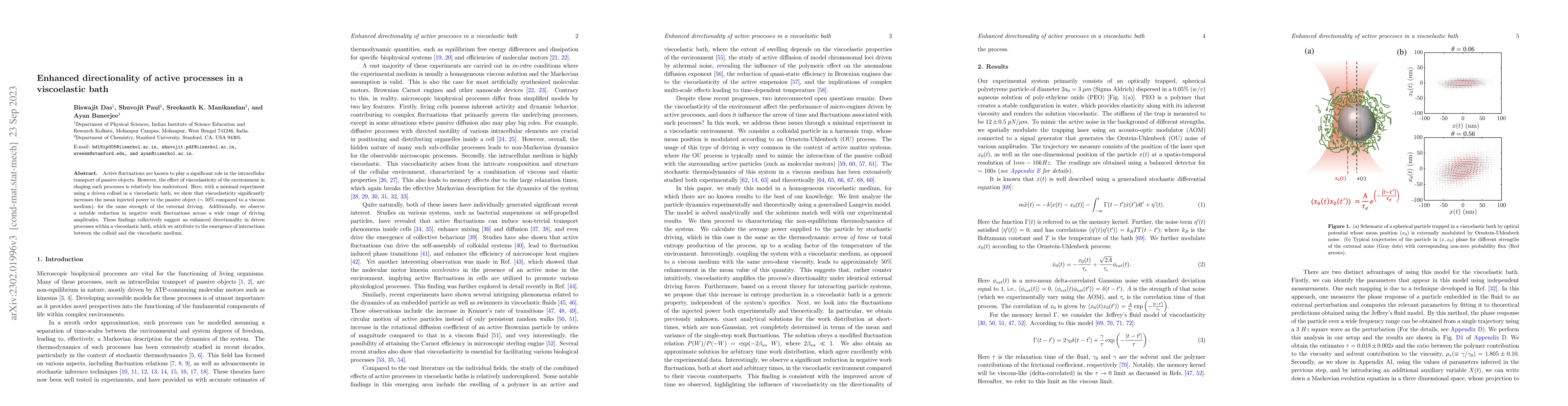Thumbnail for Enhanced directionality of active processes in a viscoelastic bath