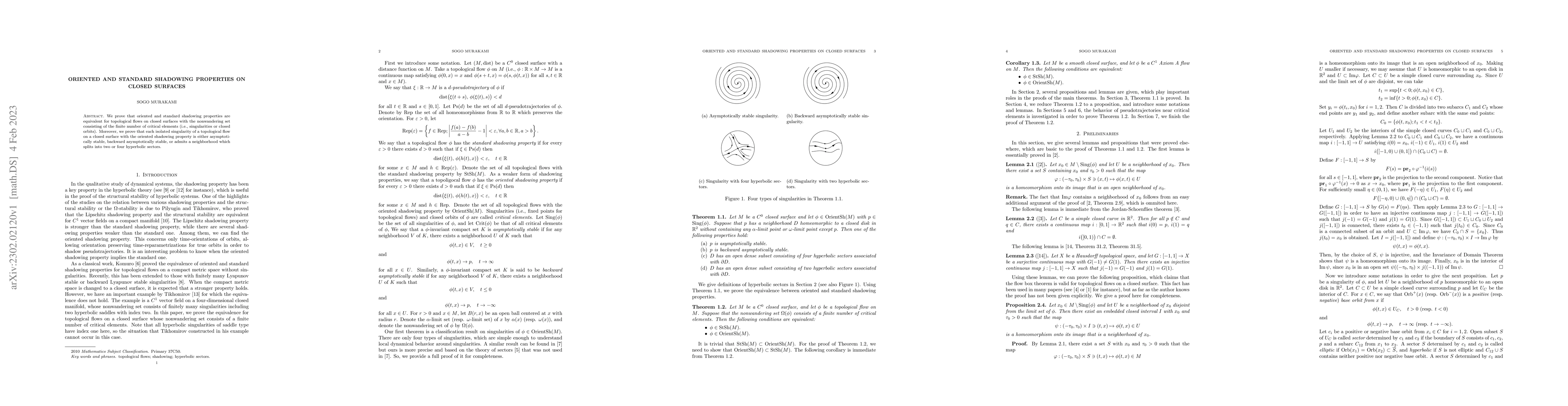 Thumbnail for Oriented and standard shadowing properties on closed surfaces