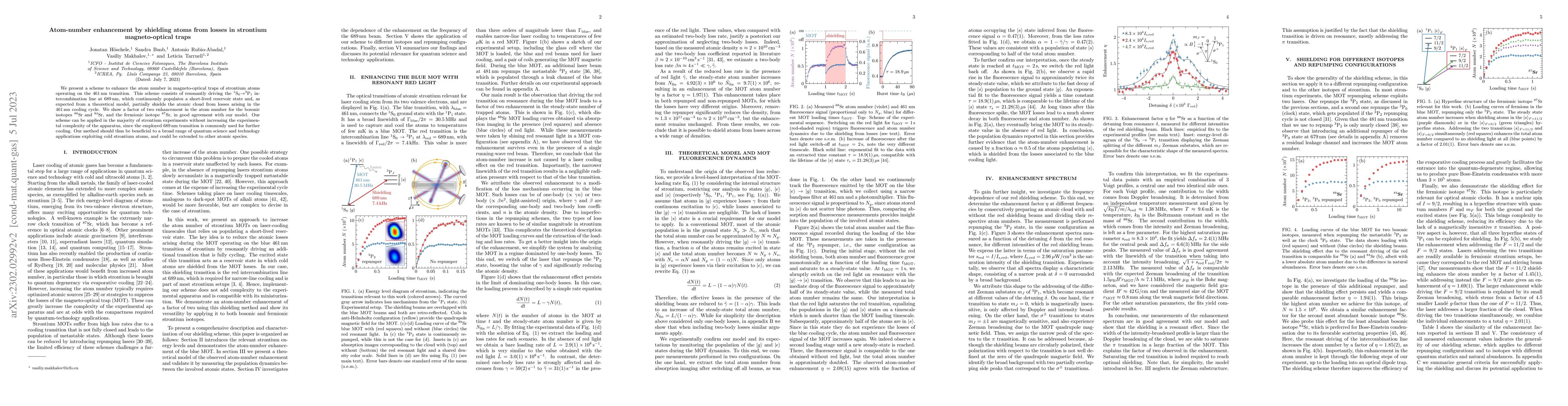 Thumbnail for Atom-Number Enhancement by Shielding Atoms from Losses in Strontium
  Magneto-Optical Traps