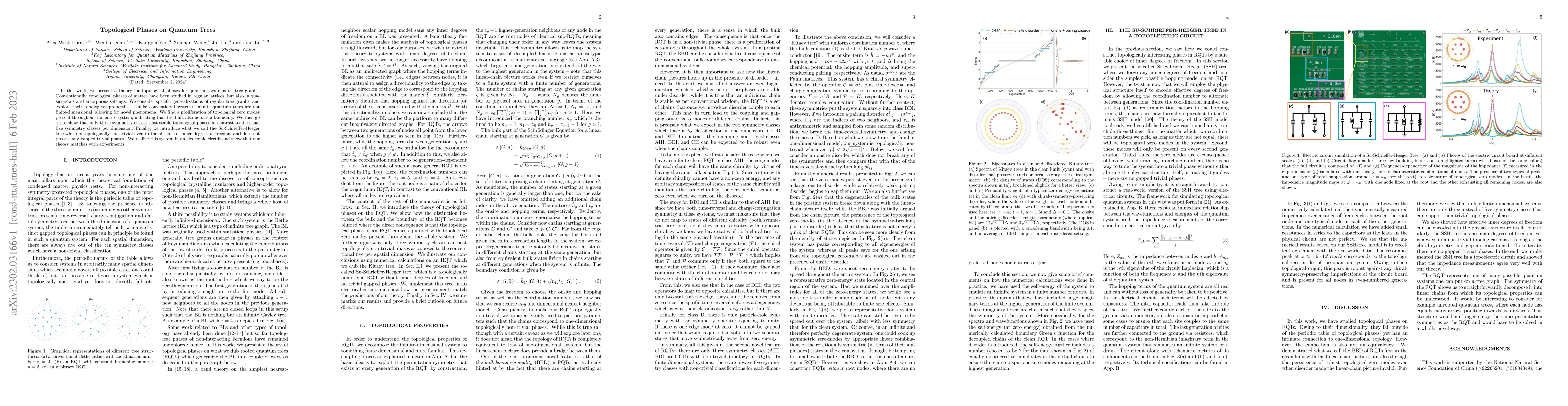 Thumbnail for Topological Phases on Quantum Trees