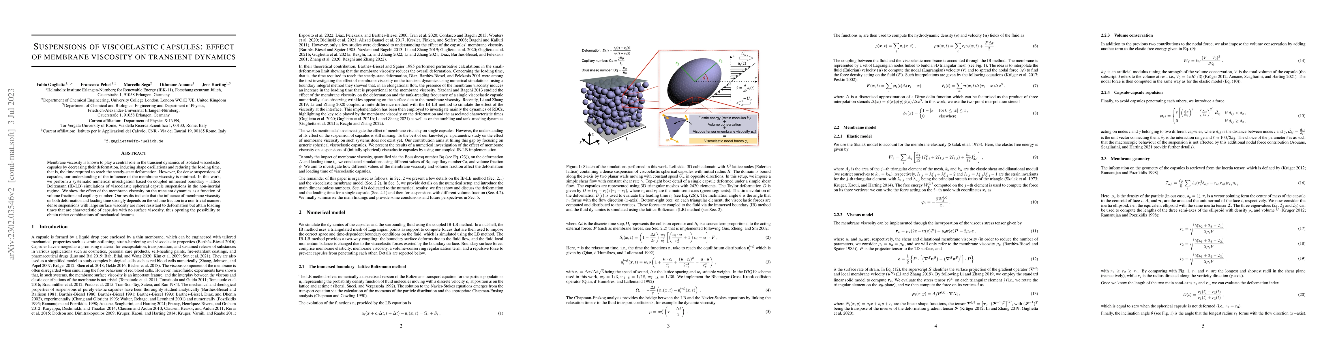 Thumbnail for Suspensions of viscoelastic capsules: effect of membrane viscosity on
  transient dynamics
