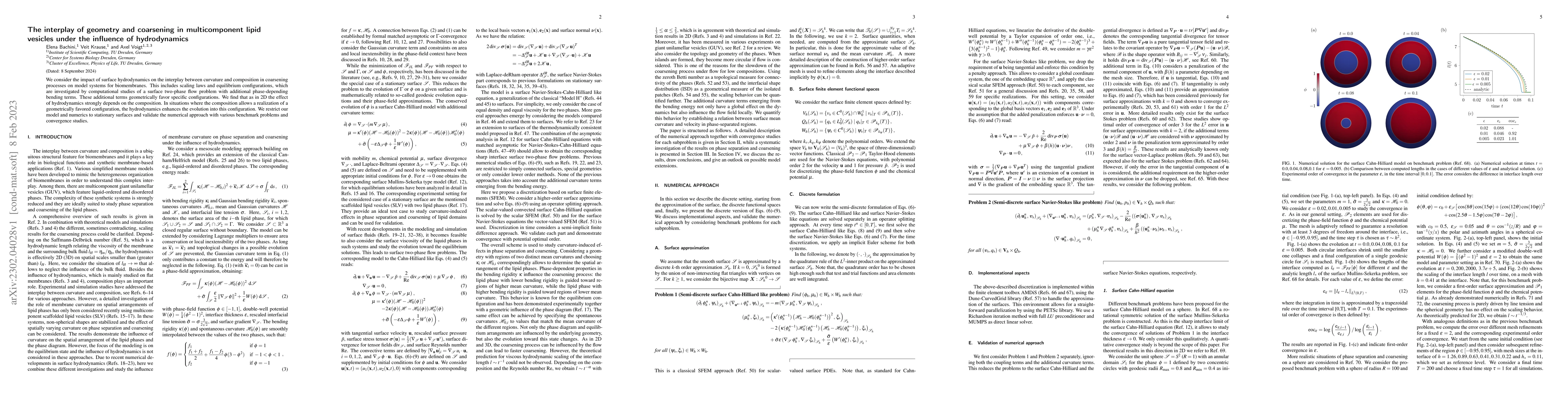 Thumbnail for The interplay of geometry and coarsening in multicomponent lipid
  vesicles under the influence of hydrodynamics
