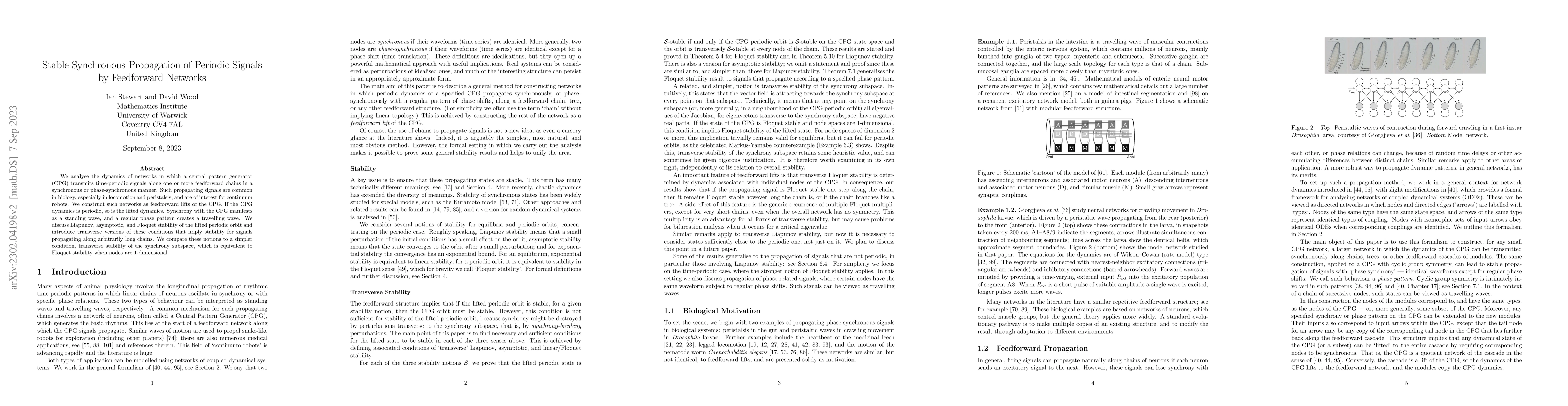 Thumbnail for Stable Synchronous Propagation of Signals by Feedforward Networks