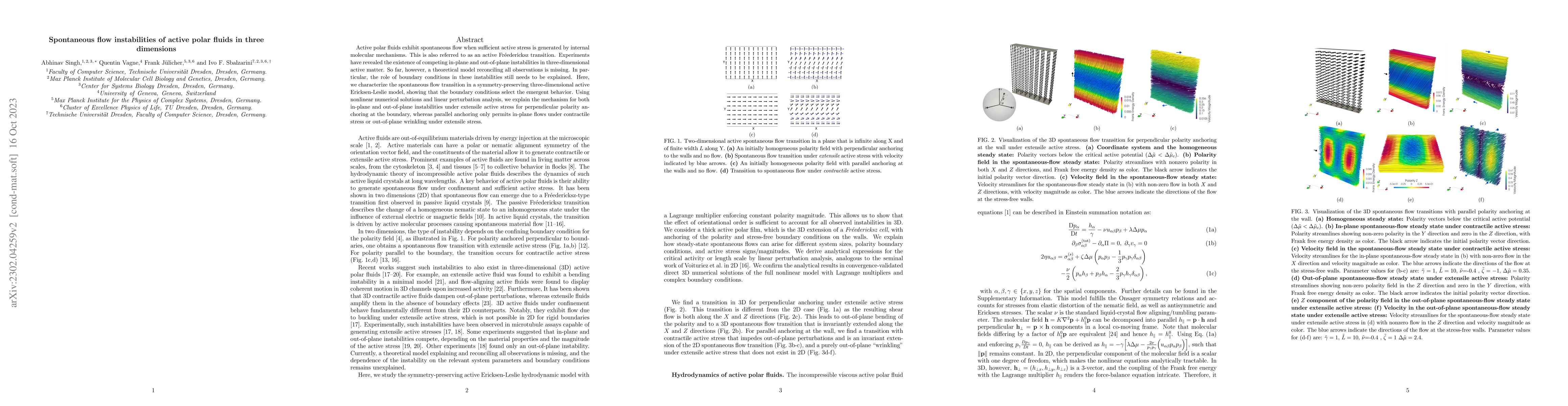 Thumbnail for Spontaneous flow instabilities of active polar fluids in three
  dimensions