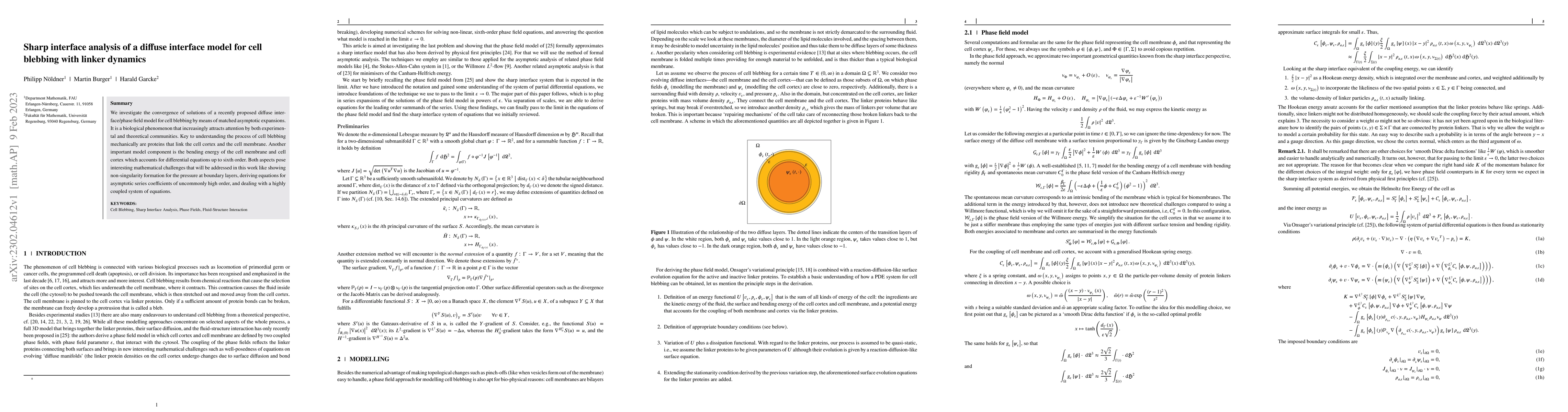 Thumbnail for Sharp interface analysis of a diffuse interface model for cell blebbing
  with linker dynamics