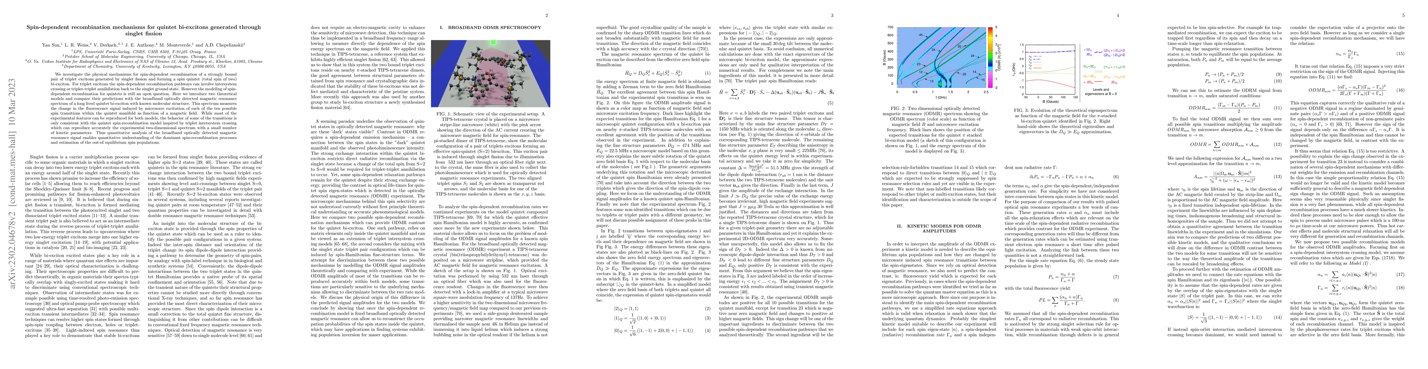 Thumbnail for Spin-dependent recombination mechanisms for quintet bi-excitons
  generated through singlet fission