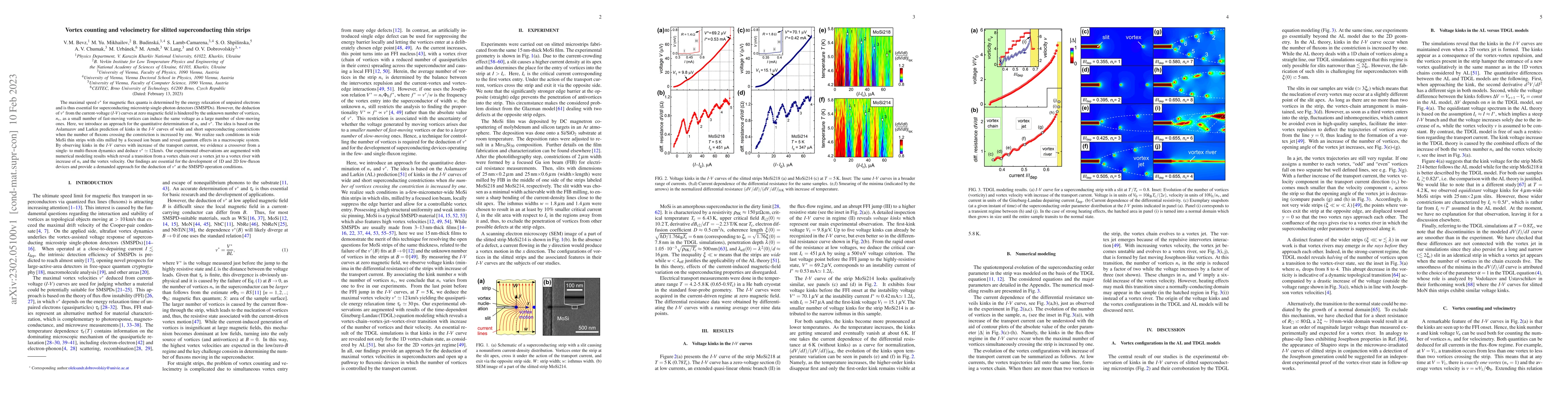 Thumbnail for Vortex counting and velocimetry for slitted superconducting thin strips