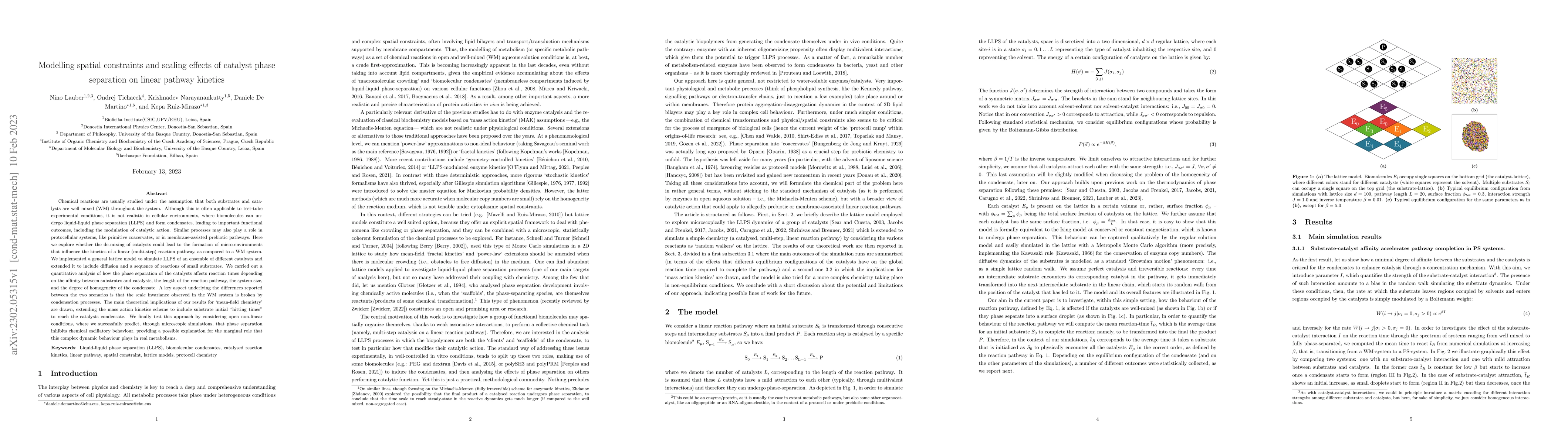 Thumbnail for Modelling spatial constraints and scaling effects of catalyst phase
  separation on linear pathway kinetics